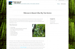 Beavers Blue Sky Tree Service